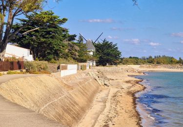 Excursión Senderismo La Guérinière - Jeun et rando J2 La Guérinière - Photo