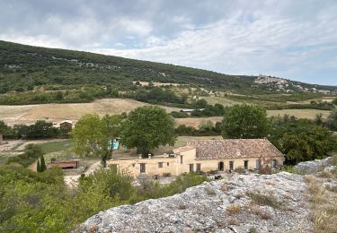 Trail Horseback riding Céreste - Provence 2025 J3 - Photo
