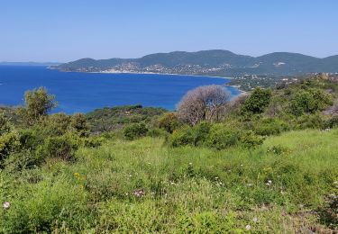 Trail Walking La Croix-Valmer - Cap lardier cap Caillat rando - Photo