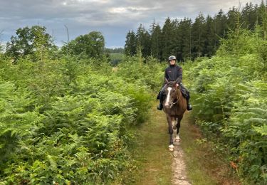 Trail Horseback riding Neufchâteau - Bois d’Ospot depuis les pompiers - Photo