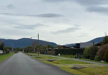 Tocht Te voet  - Mount Te Kinga Track/Ara O Te Kinga - Photo