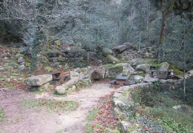 Tocht Te voet Calenzana - Boca di Bonassa - Photo