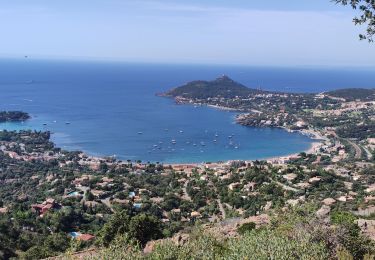 Tour Wandern Saint-Raphaël - Antheor - Photo