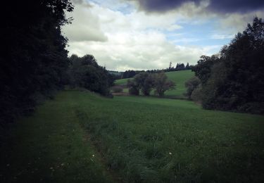 Tour Zu Fuß Wissen - Botanischer Weg - Photo