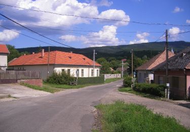 Randonnée A pied Perőcsény - P+ (Perőcsény-Nagy-Hideg-hegy) - Photo