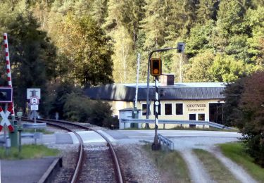 Randonnée A pied Geiersthal - Viechtach, Zielwanderweg 3 nach Gumpenried - Photo