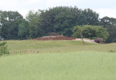 Tour Zu Fuß Viviers-sur-Chiers - CV Longuyon Verte - Photo