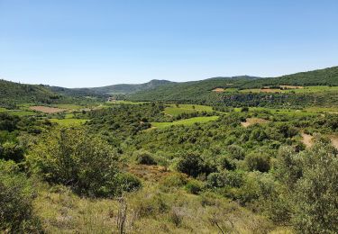Tour Wandern Cabrières -  les crêtes de vissou - Photo