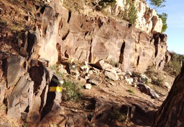 Trail Walking Le Pradet - La Colle Noire - Photo