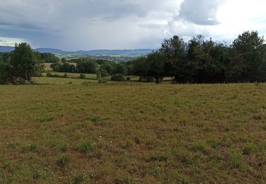 Tour Wandern Fursac - Crechat, l'ecornebeuf, boi de Chabanne  - Photo