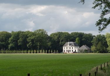 Tour Zu Fuß Olst-Wijhe - WNW Salland - Boskamp - rode route - Photo