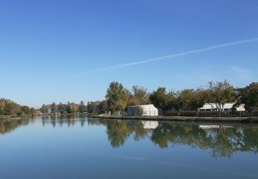 Randonnée Marche Lisle-sur-Tarn - Lisle sur Tarn Rando primeur - Photo