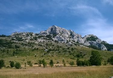 Tour Zu Fuß  - Ravni dabar do Alaginca preko Crnog dabra - Photo