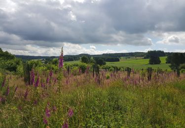 Tocht Stappen Vielsalm - Vielsalm - Photo