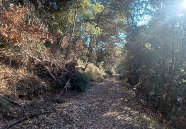 Tour Wandern Peyruis - PEYRUIS . TOUR DU PRACONTEAU .CHAPELLE D AUGES O L M - Photo