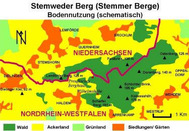 Tocht Te voet Brockum - Stemweder Berg - Photo