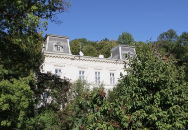 Percorso A piedi Gemeinde Klosterneuburg - Weidling - Kierling (Dr. Walter Brandstetter Weg) - Photo