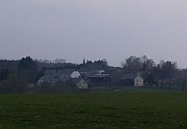 Tocht Stappen Léglise - Ebly - Vaux-lez-Chêne - Photo