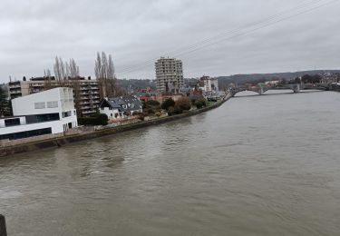 Randonnée Marche Huy - De pont à pont - Photo