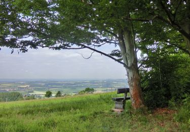 Tour Zu Fuß Goldkronach - Goldkronach Rundwanderweg Nr. 2 - Photo