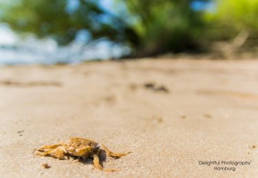 Percorso A piedi Seevetal - Wanderweg OV - Photo