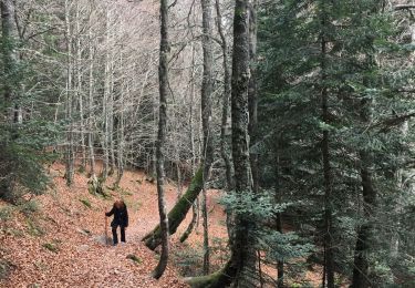 Tour Wandern Laruns - Tour des lacs de Bious Artigues avec la neige - Photo