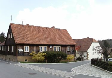 Percorso A piedi Oybin - LG-Grüner Strich - Photo