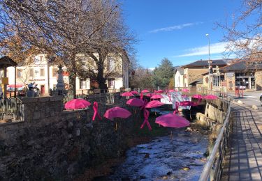 Tocht Stappen Saillagouse - 20211107 agréable boucle depuis Saillagouse  - Photo