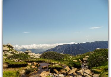 Tocht Stappen Ghisoni - Lac Bastani Renoso - Photo