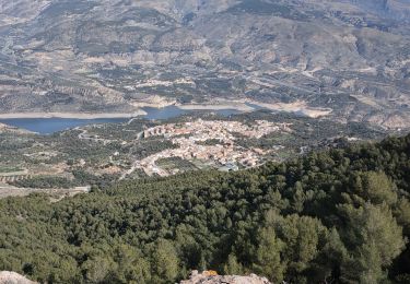 Excursión Senderismo El Pinar - Ermita del Santo Cristo del Zapato - Photo