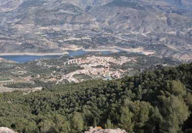 Excursión Senderismo El Pinar - Ermita del Santo Cristo del Zapato - Photo