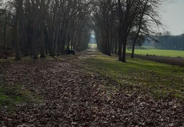 Excursión Senderismo Courances - Courabces,Moigny,Videlles ,Dannemois - Photo