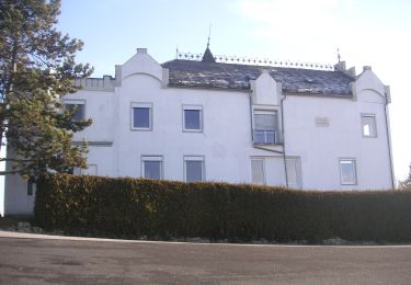 Tour Zu Fuß Sankt Bartholomä - WunderWanderWeg - Photo