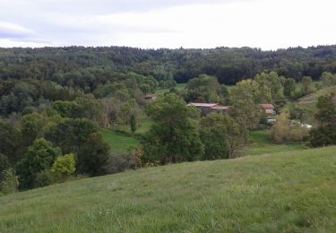 Trail Walking Saint-Julien-d'Ance - Bourriane - Photo