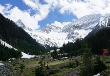 Tocht Te voet Onbekend - Valea Sâmbetei - Piatra Caprei - Căldarea sub Cheia Bândei - Photo