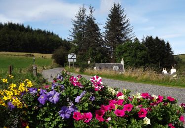 Percorso A piedi  - Church walk - Photo