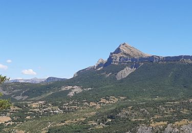 Trail Walking Digne-les-Bains - ENTRAGES Tour et crête du Feston o s l - Photo