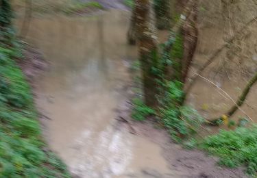 Tocht Stappen Cugand - Hucheloup Douciniere  - Photo