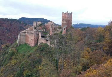 Tour Wandern Rappoltsweiler - rdpr Ribeauville Matin 2019 - Photo