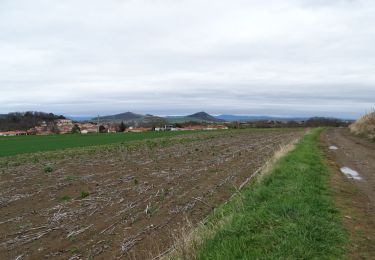 Tocht Te voet Saint-Georges-sur-Allier - Saint-Georges-sur-Allier - Photo