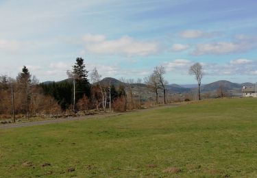 Tour Wandern Yssingeaux - 43 Yssingeaux 3sucs 9km 300m - Photo