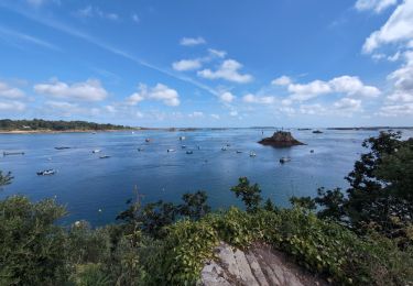 Tour Wandern Ploubazlanec - Loguivy-de-la-Mer Mélus - GR34 Paimpol - 22.4km 375m 3h30 (45mn) - 2024 06 29 - Photo