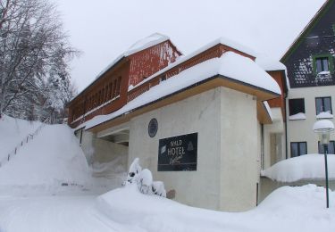 Tour Zu Fuß Klingenthal - Rundwanderweg Klingenthal-Zwota - Photo