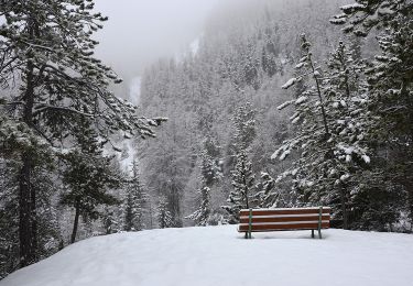 Tocht Sneeuwschoenen Uvernet-Fours - Pra Loup - Cabane Forestière du Fau - Photo