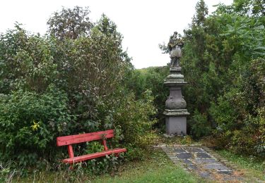 Tour Zu Fuß Ipolydamásd - K+, Ipolydamásd - Photo