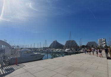 Tour Elektrofahrrad La Grande-Motte - la Grande Motte Aigues Mortes - Photo