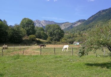 Excursión Senderismo Burgalays - SityTrail - GR86new - Photo