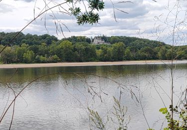 Trail Hybrid bike Saumur - R / étape 1 - de Saumur à Gennes sur Loire - Photo