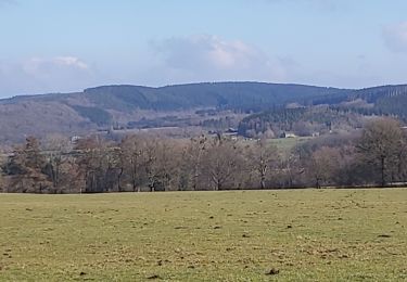 Randonnée Marche nordique Érezée - rando forestiere haseille  hors chasse  - Photo