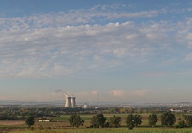 Tocht Te voet Röthlein - Heidenfelds Grüne Lunge - Photo